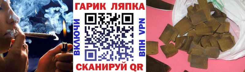 где купить наркоту  Волгореченск  ГАШ Premium 