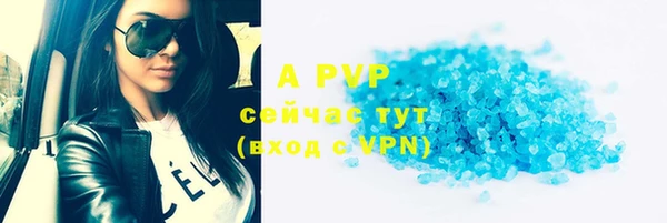 ГАЛЛЮЦИНОГЕННЫЕ ГРИБЫ Белокуриха