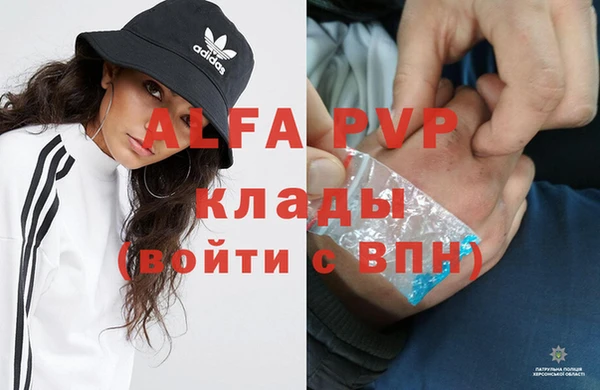 ГАЛЛЮЦИНОГЕННЫЕ ГРИБЫ Белокуриха