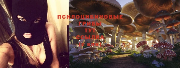прущий лед Белоозёрский