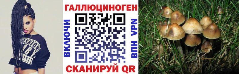 Галлюциногенные грибы мицелий  mega рабочий сайт  Волгореченск 