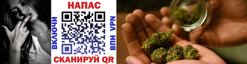 Каннабис OG Kush  Волгореченск 