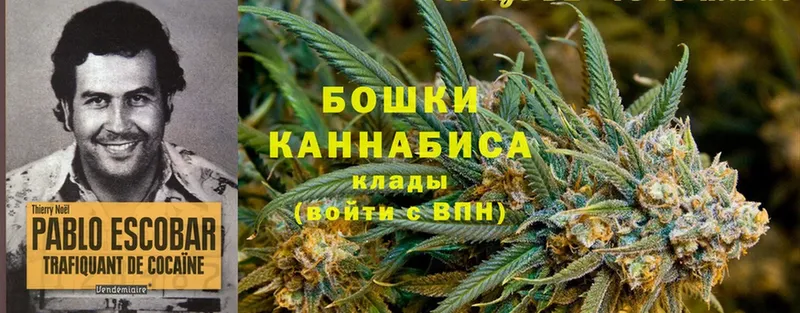 блэк спрут рабочий сайт  Волгореченск  Канабис Ganja 